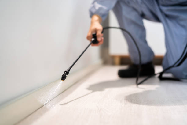 Licensed Fumigation Services service in Fair Oaks, VA - Nex Pest Control
