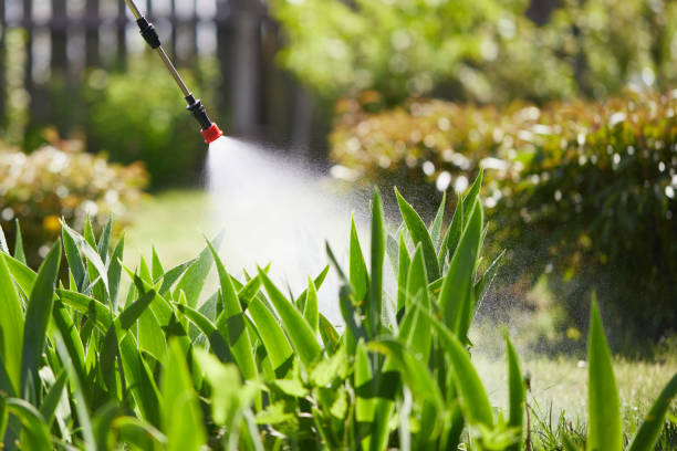 24/7 Emergency Fumigation Services experts in Fair Oaks, VA