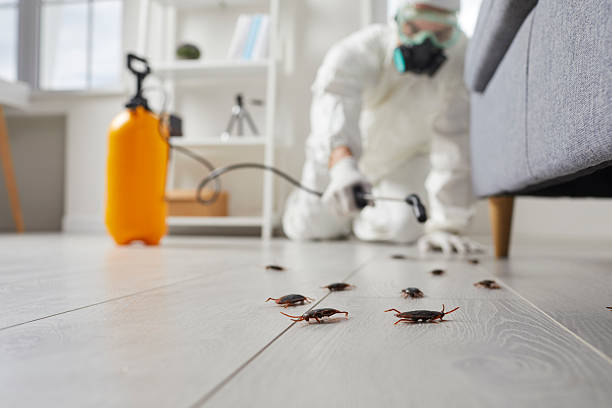 Trusted Rodent Control service in Fair Oaks, VA - Nex Pest Control