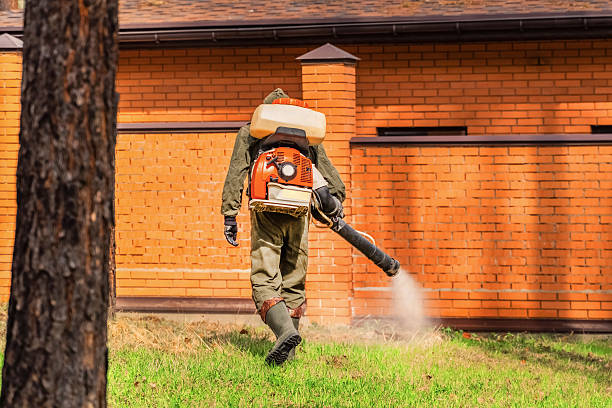 Trusted Cockroach Control service in Fair Oaks, VA - Nex Pest Control